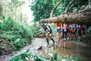 BIB: 
                            <button type="button" onclick="openModal(25516586)" class="btn btn-primary btn-sm float-right btn-popup" data-toggle="modal" data-target=".modal-high-quality">
                        <i class="fas fa-shopping-cart"></i> Add to Cart
                    </button>
                                            <button type="button" onclick="isThisMe(25516586, true)" class="btn btn-success btn-sm float-right btn-popup btn-isme hidden" data-toggle="tooltip" data-placement="bottom" title="นี่คือรูปของคุณใช่ไหม คลิกที่นี่เพื่อเอาเข้าอัลบั้ม">
                        <i class="fas fa-plus"></i> Add to album
                    </button>
                    <button type="button" onclick="isThisMe(25516586, false)" class="btn btn-warning btn-sm float-right btn-popup btn-isnotme hidden">
                        <i class="fas fa-ban"></i> Remove from album
                    </button>